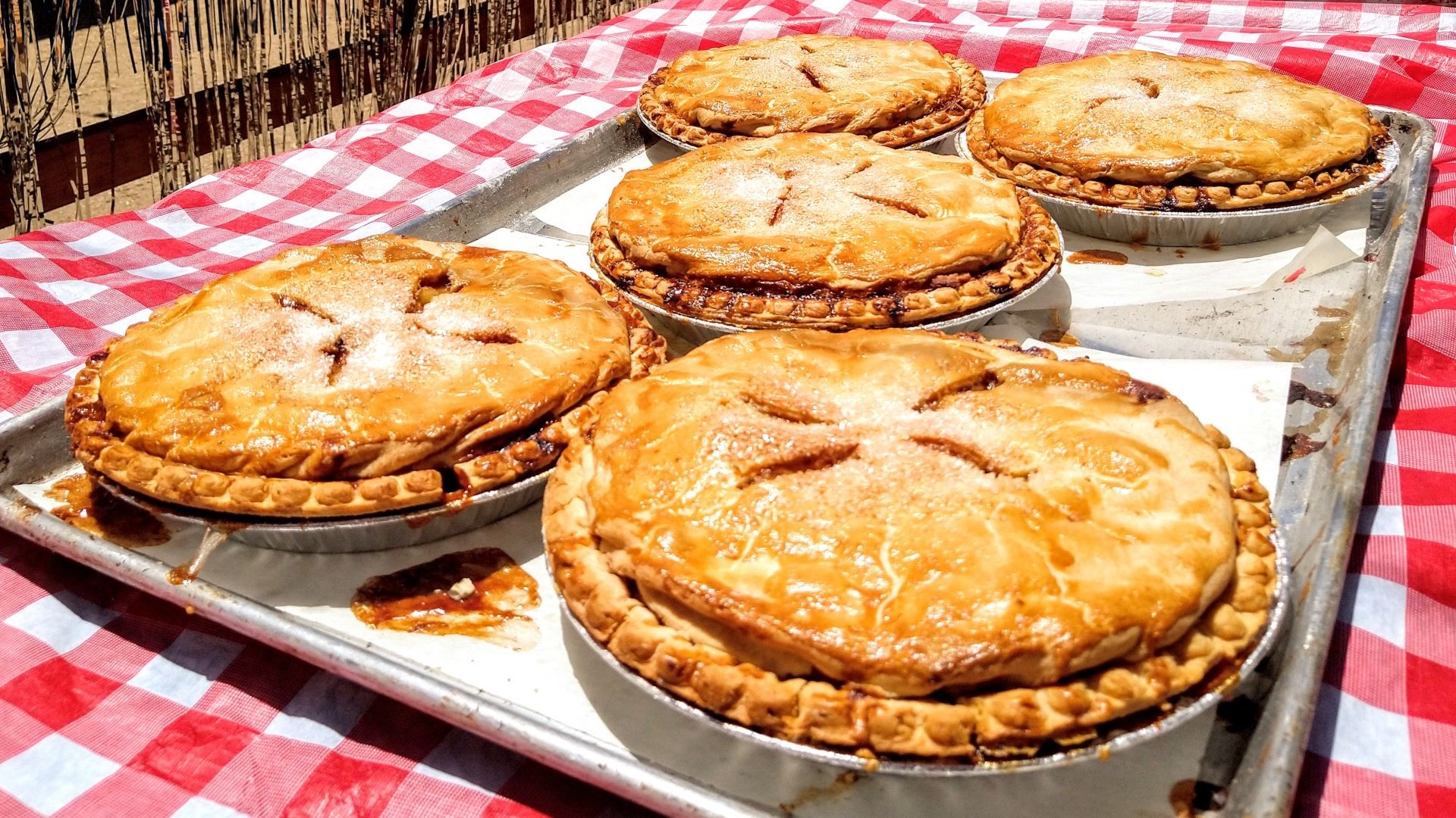 Eating Contest Masthead